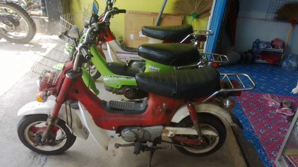 ขายชาลี 3คัน