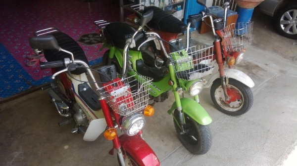 ขายชาลี 3คัน