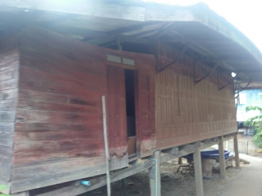 ขายบ้านทรงไทย3หลังไม้สัก(เฉพาะตัวบ้าน) ขายบ้านทรงไทย3หลังไม้สัก(เฉพาะตัวบ้าน)