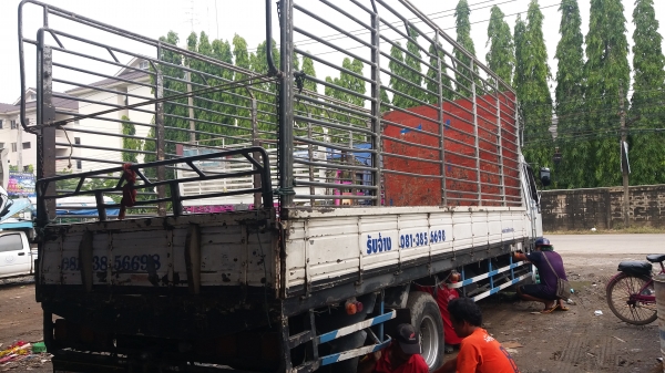 ขายคอกรถ 6 ล้อ ยาว 6 เมตร โทร 0823585392