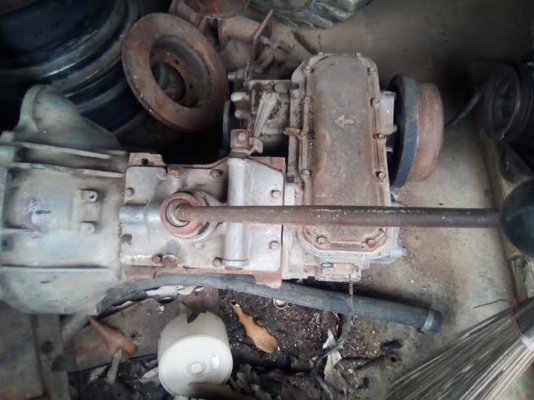 ขายเกียร์ซาฟารี ขายเกียร์ซาฟารี