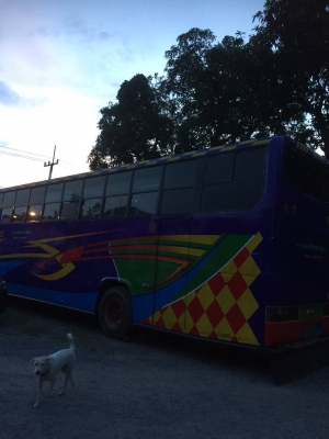 ขายรถบัส 45 ที่นั่ง ขายรถบัส 45 ที่นั่ง