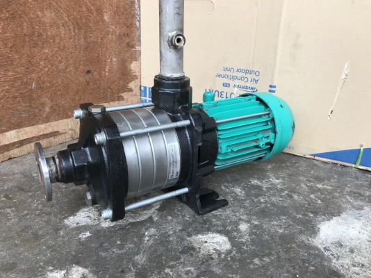 ขายปั๊มน้ำหัวสแตนเลสแรงดันสูง 4 ใบพัด WILO 0.55Kw. 380V made in France ขนาดเข้า 1.2นิ้ว ออก 1.2นิ้ว สภาพสวยใหม่มาก พร้อมใช้งาน