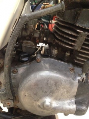 ขาย วิบาก