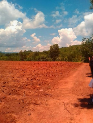 ขายที่ดินเขาใหญ่ ไร่ละล้านห้า วิวสวย