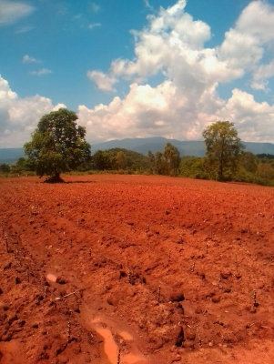 ขายที่ดินเขาใหญ่ ไร่ละล้านห้า วิวสวย