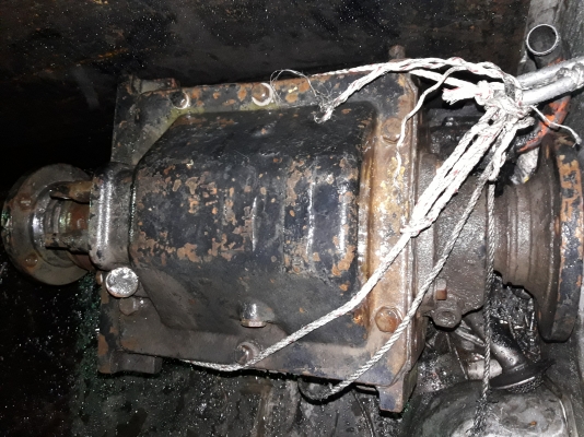 สโลวอินเตอร์