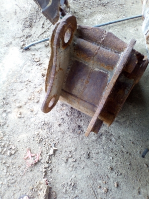 ขายบุ้งกี๋เล็ก