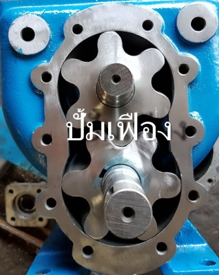 ปั้มเฟือง 3" Gear Pump
