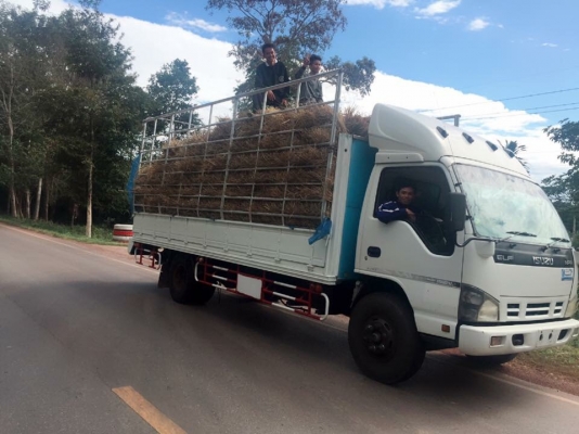 Isuzu NPR 130แรง เทอร์โบ ห้างแท้ปี49 รุ่นตาเพชร เพาเวอร แอร์เย็น เพลงเพราะ เล่มพร้อมโอน สีเดิมบาง Isuzu NPR 130แรง เทอร์โบ ห้างแท้ปี49 รุ่นตาเพชร เพาเวอร แอร์เย็น เพลงเพราะ เล่มพร้อมโอน สีเดิมบาง