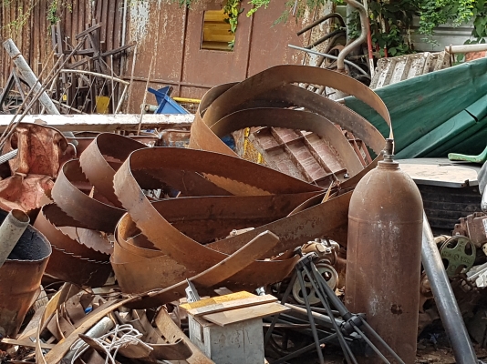 ใบเลื่อยใหญ่