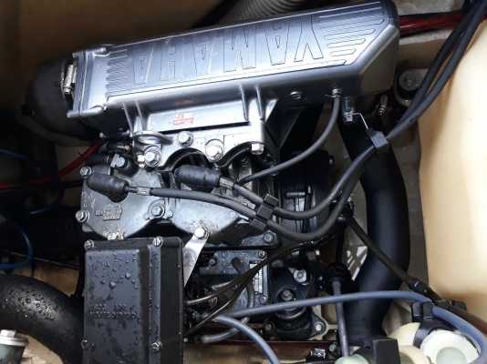 Yamaha ปลาโอ650
