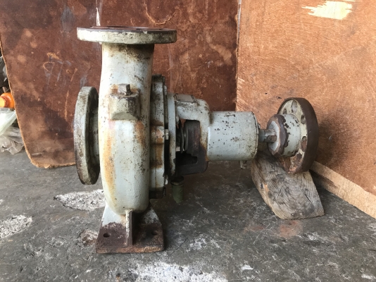 ขายหัวปั๊มน้ำหอยโข่ง Kawamoto 100x80 made in Japan ขนาดเข้า 4นิ้ว ออก 3นิ้ว ใบพัดทองเหลือง สภาพสวยเดิมๆ หมุนนิ่ม พร้อมใช้งาน