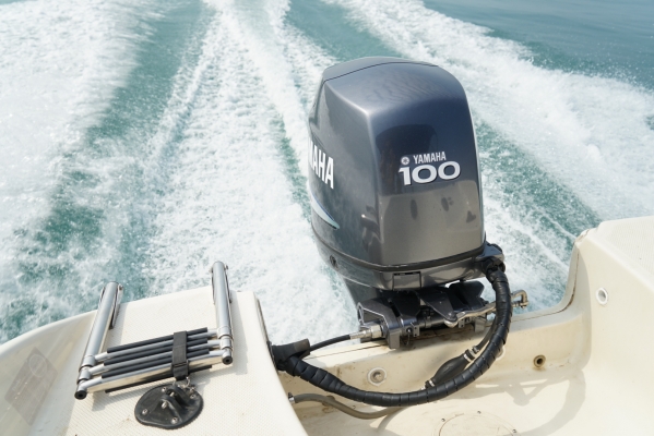 เรือ Bayliner 18 ฟุต มีทะเบียน