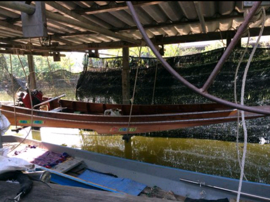 เรือไฮเทคท้องตอน พร้อมเครื่องยนต์2สูบ สี่จังหวะ