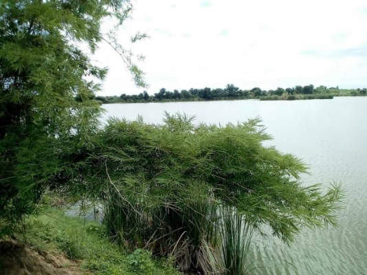 ขาย 16,500,000 บ่อทราย 97 ไร่ พร้อมใบอนุญาติ ทรายชั้น 2 ดีมาก พร้อมดูดทรายได้เลย ที่ดินอยู่ กาญจนบุรี 090-772-3710 090-772-3708