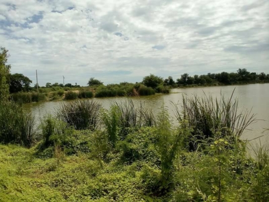 ขาย 16,500,000 บ่อทราย 97 ไร่ พร้อมใบอนุญาติ ทรายชั้น 2 ดีมาก พร้อมดูดทรายได้เลย ที่ดินอยู่ กาญจนบุรี 090-772-3710 090-772-3708