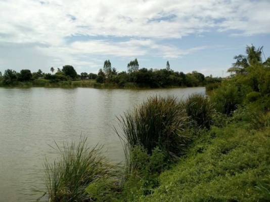 ขาย 16,500,000 บ่อทราย 97 ไร่ พร้อมใบอนุญาติ ทรายชั้น 2 ดีมาก พร้อมดูดทรายได้เลย ที่ดินอยู่ กาญจนบุรี 090-772-3710 090-772-3708