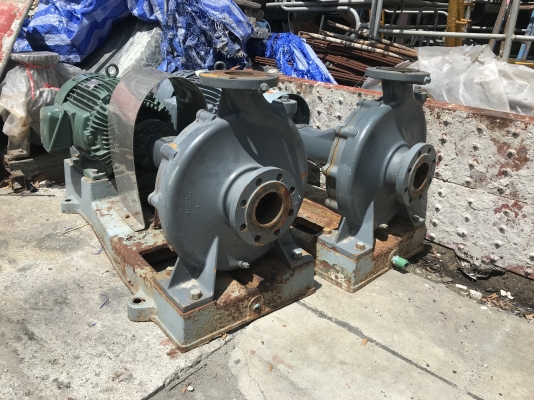 ( เหลือ 1ตัวครับ )ขายปั๊มน้ำหอยโข่ง Teral ชนมอเตอร์ 15HP. 380V ขนาดเข้า 3นิ้ว ออก 2.5นิ้ว ใบพัดทองเหลือง รุ่นใบพัดใหญ่ส่งน้ำไกล สภาพสวย หมุนนิ่ม พร้อมใช้งาน มี 2 ตัว ราคาตัวละ 15,500 บาท