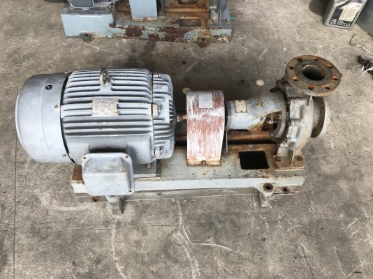 ขายปั๊มน้ำหอยโข่ง Teral ชนมอเตอร์ 30HP. 380V ขนาดเข้า 4นิ้ว ออก 3นิ้ว ใบพัดทองเหลือง รุ่นใบพัดใหญ่ส่งน้ำไกล สภาพสวย หมุนนิ่ม พร้อมใช้งาน