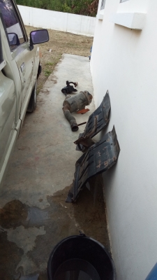 หัวฮีโน่ ซุปเปอร์เสี่ย. ขายถูก 35,000 091-0272356