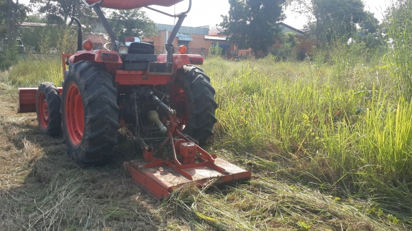 ขายตัวตัดหญ้า