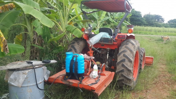 ขายตัวตัดหญ้า