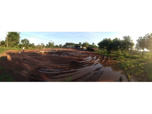 เปิดรับซื้อ มัน,ข้าว,อ้อย,ไม้ กำไรแน่นอน ขายลาน 2ไร่ ถูกๆ