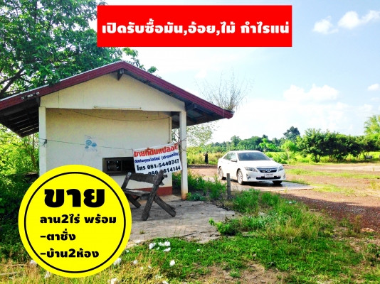 เปิดรับซื้อ มัน,ข้าว,อ้อย,ไม้ กำไรแน่นอน ขายลาน 2ไร่ ถูกๆ