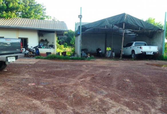 เปิดรับซื้อ มัน,ข้าว,อ้อย,ไม้ กำไรแน่นอน ขายลาน 2ไร่ ถูกๆ