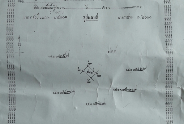 ขายที่ดินเนื้อที่ 1งาน ต.มะเขือแจ้ อ.เมือง จ.ลำพูน