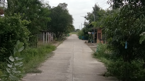 ขายบ้านพร้อมที่ดิน.1งาน99ตราง.วา.บ้าน2ชั้นพร้อมอู่ยสามชุกสุ1000บุรีที่2แสน5ย้าน5หมื่นถูกๆครับ