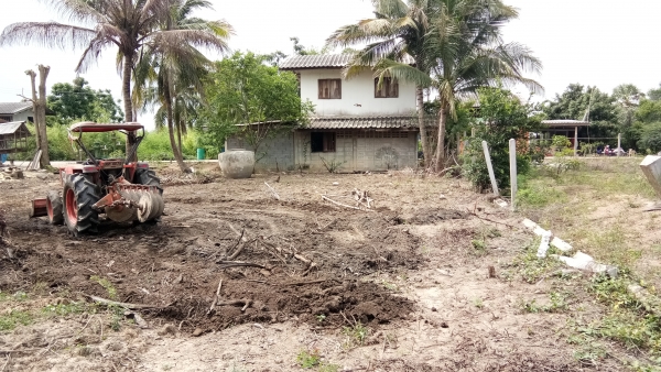 ขายบ้านพร้อมที่ดิน.1งาน99ตราง.วา.บ้าน2ชั้นพร้อมอู่ยสามชุกสุ1000บุรีที่2แสน5ย้าน5หมื่นถูกๆครับ