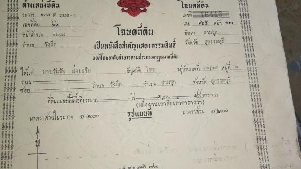 ขายบ้านพร้อมที่ดิน.1งาน99ตราง.วา.บ้าน2ชั้นพร้อมอู่ยสามชุกสุ1000บุรีที่2แสน5ย้าน5หมื่นถูกๆครับ