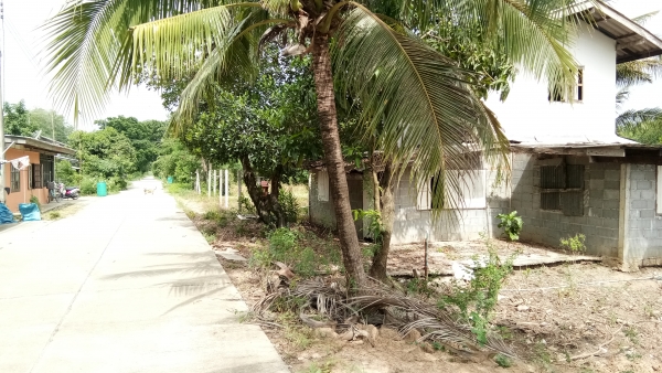 ขายบ้านพร้อมที่ดิน.1งาน99ตราง.วา.บ้าน2ชั้นพร้อมอู่ยสามชุกสุ1000บุรีที่2แสน5ย้าน5หมื่นถูกๆครับ