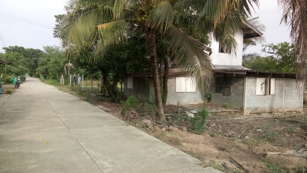 ขายบ้านพร้อมที่ดิน.1งาน99ตราง.วา.บ้าน2ชั้นพร้อมอู่ยสามชุกสุ1000บุรีที่2แสน5ย้าน5หมื่นถูกๆครับ