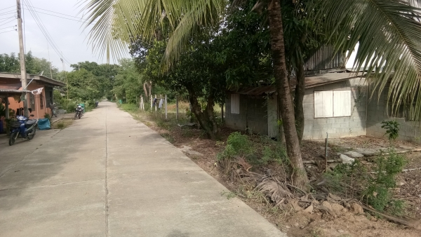 ขายบ้านพร้อมที่ดิน.1งาน99ตราง.วา.บ้าน2ชั้นพร้อมอู่ยสามชุกสุ1000บุรีที่2แสน5ย้าน5หมื่นถูกๆครับ