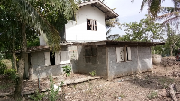 ขายบ้านพร้อมที่ดิน.1งาน99ตราง.วา.บ้าน2ชั้นพร้อมอู่ยสามชุกสุ1000บุรีที่2แสน5ย้าน5หมื่นถูกๆครับ