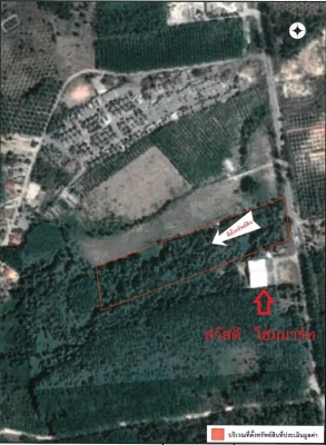 ขายด่วนที่ดินเปล่า 19 ไร่ 3 งาน 83 ตารางวา ติดถนนเพชรเกษม อำเภอ ตะกั่วป่า จังหวัดพังงา