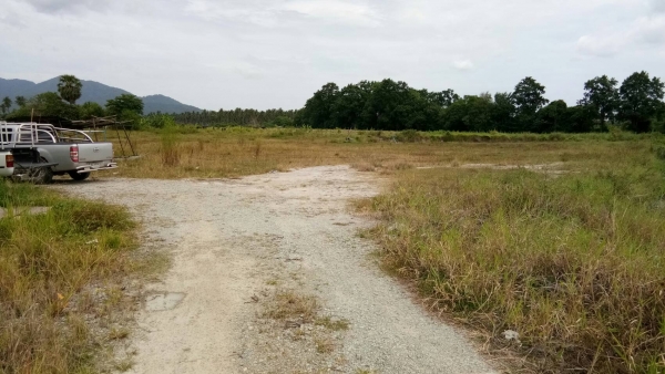 ขายที่ อ.บ้านบึง จ.ขลบุรี ด่วน