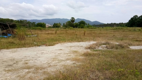 ขายที่ อ.บ้านบึง จ.ขลบุรี ด่วน ขายที่ อ.บ้านบึง จ.ขลบุรี ด่วน