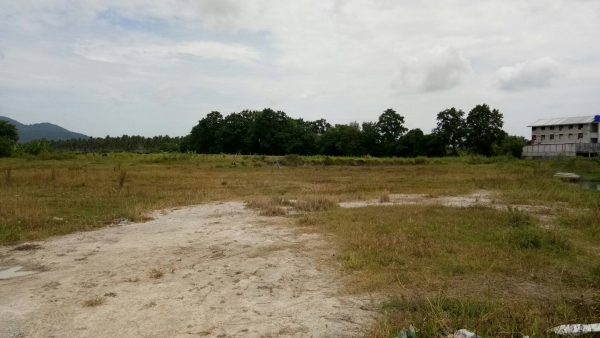 ขายที่ อ.บ้านบึง จ.ขลบุรี ด่วน ขายที่ อ.บ้านบึง จ.ขลบุรี ด่วน