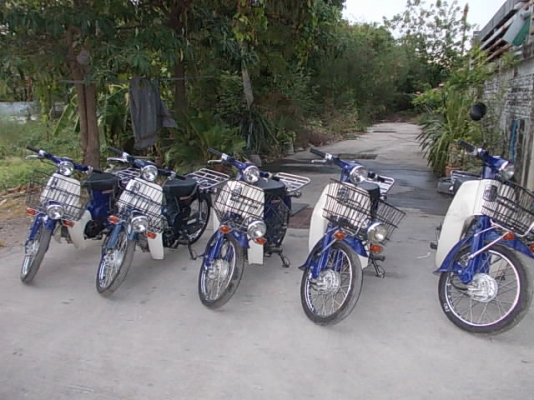 honda C50 หัวฉีด ตะแกรงหน้าหลัุงใหญ่ รถประกอบใหม่ เหลือ1คันแล้วครับ