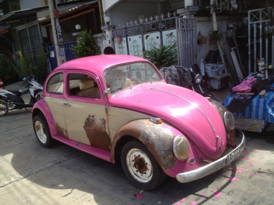 ขายเต่า 64  70000  ล้มโปรเจ็ค