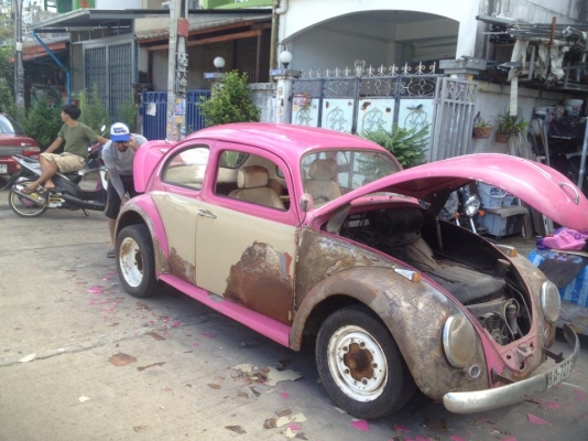 ขายเต่า 64  70000  ล้มโปรเจ็ค