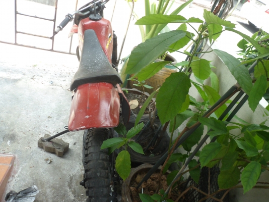 ขายรถจักรยานยนต์mtx150