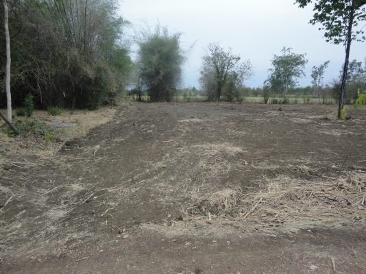 ขายที่ดินจังหวัดกาญจนบุรี เป็น ภบท.5 ไร่ละ 120000 มีอยู่ 2 ไร่ 1 งาน 70 ตรว.ลดราคาลงแล้วนะครับ ติดต่อ 084-3947781 ขายที่ดินจังหวัดกาญจนบุรี เป็น ภบท.5 ไร่ละ 120000 มีอยู่ 2 ไร่ 1 งาน 70 ตรว.ลดราคาลงแล้วนะครับ ติดต่อ 084-3947781