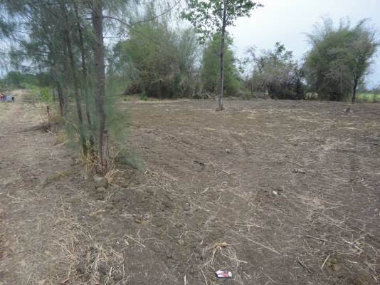 ขายที่ดินจังหวัดกาญจนบุรี เป็น ภบท.5 ไร่ละ 120000 มีอยู่ 2 ไร่ 1 งาน 70 ตรว.ลดราคาลงแล้วนะครับ ติดต่อ 084-3947781 ขายที่ดินจังหวัดกาญจนบุรี เป็น ภบท.5 ไร่ละ 120000 มีอยู่ 2 ไร่ 1 งาน 70 ตรว.ลดราคาลงแล้วนะครับ ติดต่อ 084-3947781