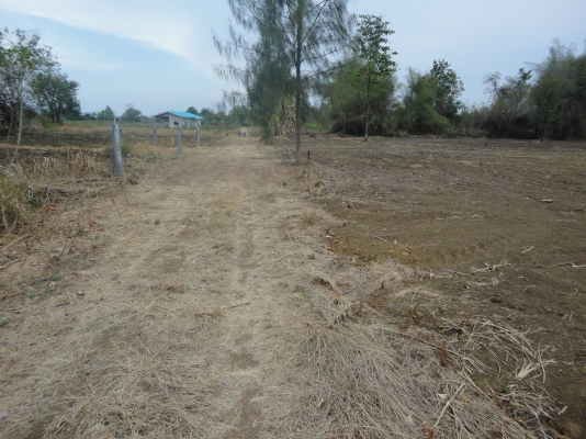 ขายที่ดินจังหวัดกาญจนบุรี เป็น ภบท.5 ไร่ละ 120000 มีอยู่ 2 ไร่ 1 งาน 70 ตรว.ลดราคาลงแล้วนะครับ ติดต่อ 084-3947781 ขายที่ดินจังหวัดกาญจนบุรี เป็น ภบท.5 ไร่ละ 120000 มีอยู่ 2 ไร่ 1 งาน 70 ตรว.ลดราคาลงแล้วนะครับ ติดต่อ 084-3947781