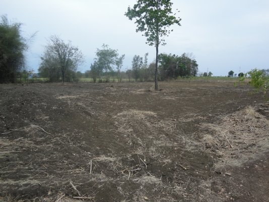 ขายที่ดินจังหวัดกาญจนบุรี เป็น ภบท.5 ไร่ละ 120000 มีอยู่ 2 ไร่ 1 งาน 70 ตรว.ลดราคาลงแล้วนะครับ ติดต่อ 084-3947781